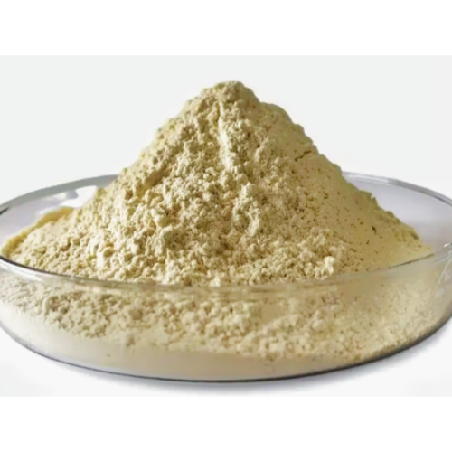 Brassica Oleracea Var. Acephala DC