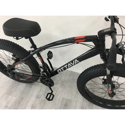 Classical 26 Inch Steel 21 Speed Fat Bike with Speed Meter