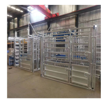 Hydraulic Cattle Crush with Weighing Scale: Premium Design for Efficient Squeeze Chute
