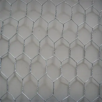 Galvanized Hexagonal Iron Wire Netting Chicken Mesh