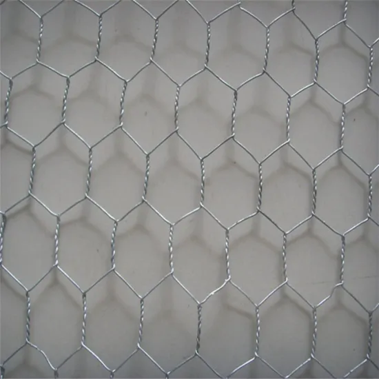 Galvanized Hexagonal Iron Wire Netting Chicken Mesh