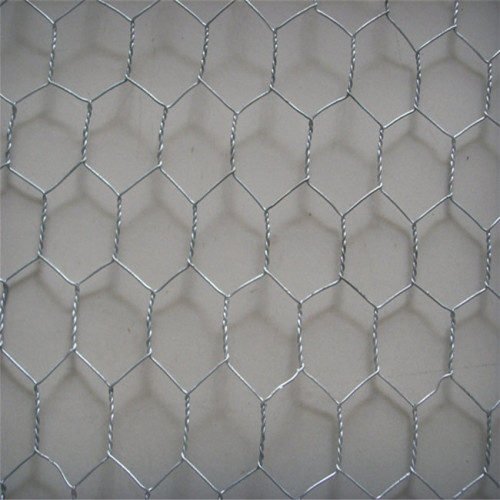 Galvanized Hexagonal Wire Netting Chicken Mesh