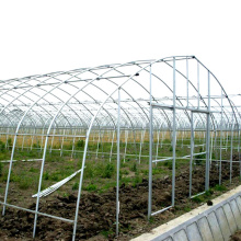 Großes 10m Tunnel-Plastikfolien-Gewächshaus