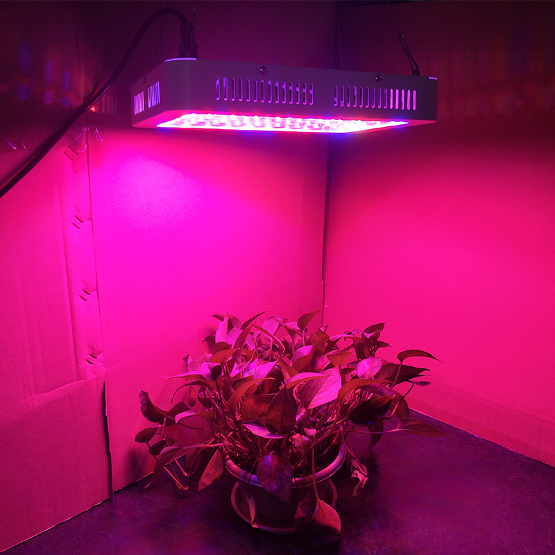 grow light 1000w