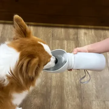 Botol &amp; mangkuk air anjing