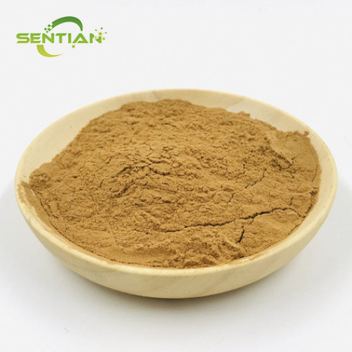 Premium Cordyceps Polysaccharide Extract