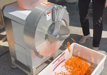 Bamboo Shoots Ginger Carrot Shredding Cutting Machine