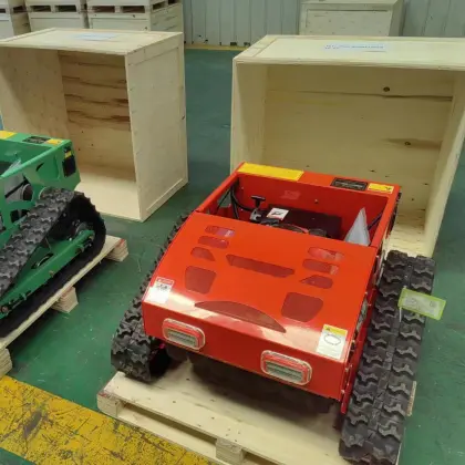 Robotic Lawn Mower Controller