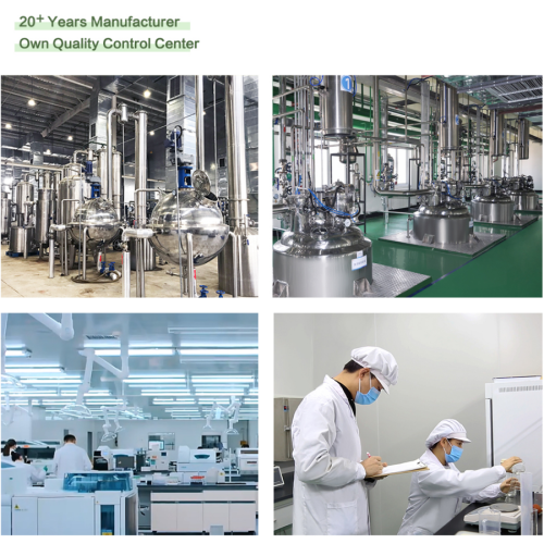 Екстракт високе чистоће Плеуротус Ерингии