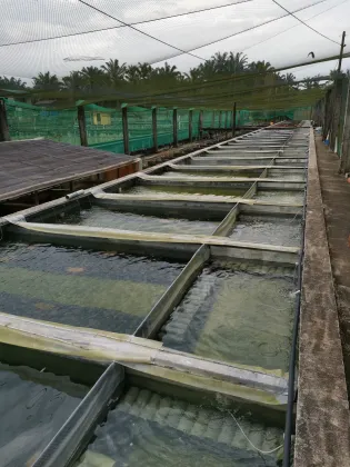Ras Shrimp Farming Equipment: Recirculating Aquaculture Systems