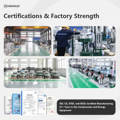 High-Pressure Diaphragm Compressor for Hydrogen and Natural Gas Energy Systems