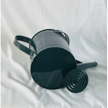 Customized long spout metal watering can