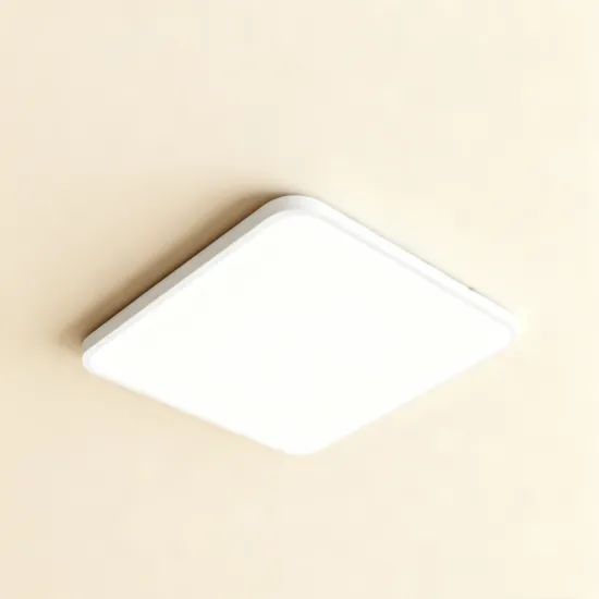 LED ceiling light for hallways