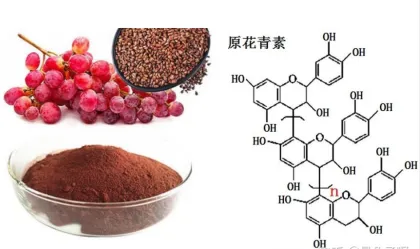 Grape seeds extract cas 84929-27-1