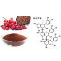 Grape seeds extract cas 84929-27-1