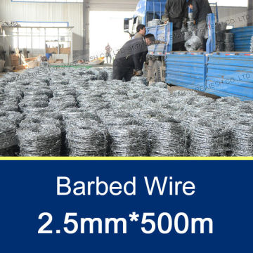 2.5mm, 500m Normal Twisted Barbed Wire