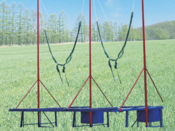 Double Trampoline, Low Price and Funny You Won't Miss Trampoline