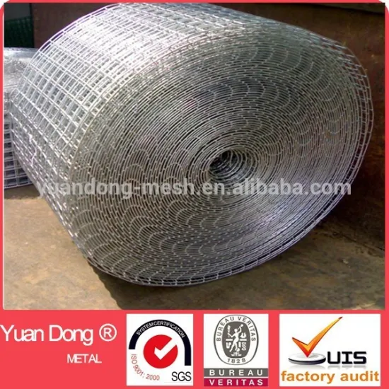 Galvanized welded wire mesh 2x2 factory price