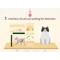 تجزیه و تحلیل کوانتومی نسل 5 برای گربه و سگ