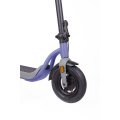 Bagong Disenyo 10inch 350W Electric Scooter