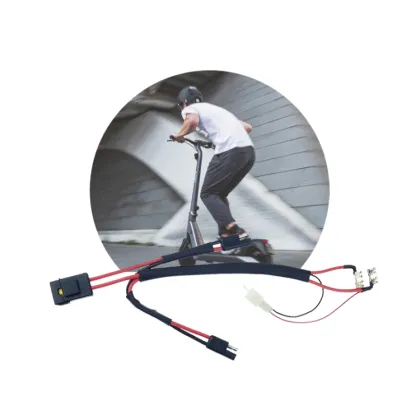 OEM Electric Control Wiring Harness For Ebike