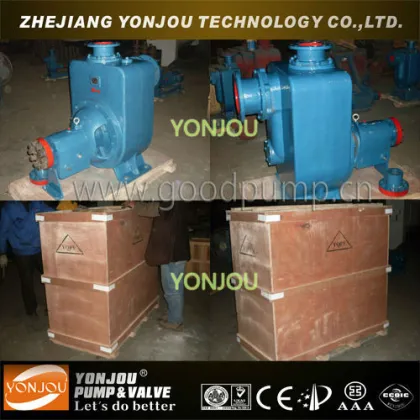 Marine Sea Water Cooling Self Priming Centrifugal Pump, Marine Fuel Pump
