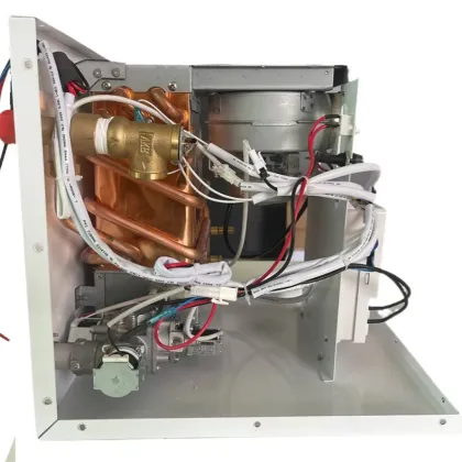 Customized Constant Temperature LPG Gas Water Heater with High Quality