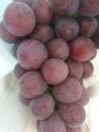 yunnan świeże czerwone winogrona