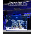 Lumières LED d&#39;aquarium de corail pour l&#39;eau salée