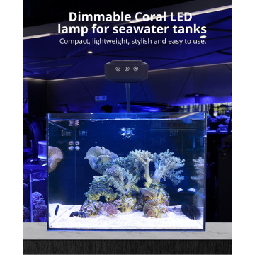 Iluminação de aquário de água salgada LED de aquário