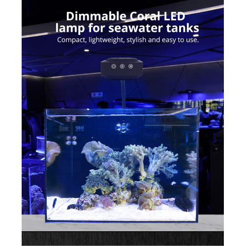 Coral Aquarium LED Lights for Saltwater