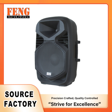 Strong ABS Cabinet Speaker with Built in Crossover