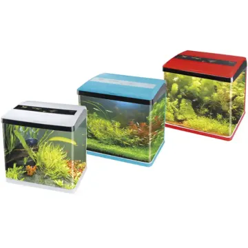 Großhandel einzigartige kleine Mini-Glas-Aquarium-Accessoires Fischtank T-830f