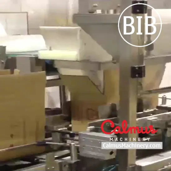 Fully-automatic Bag in Box Packaging Line