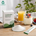 Lactobacillus Plantarum para suplementos dietéticos