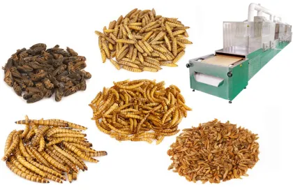Industrial Microwave Drying Oven for Larva, Grasshopper, and Locust