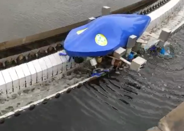 Sewage algae cleaning robot