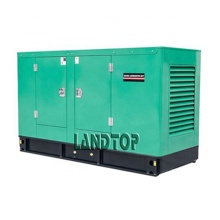 Ricardo Chinese diesel generator for sale