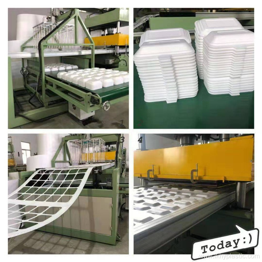 Disposable Take Away Food Container Making Machine