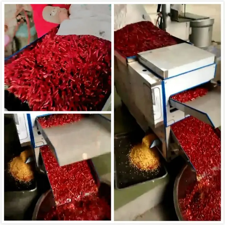 Jiangyin Longchang Chili Cutting Machie 5