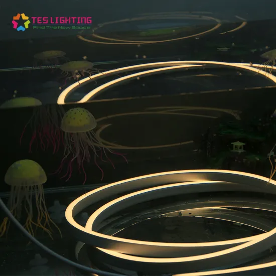 best neon led strip light 12 volt waterproof