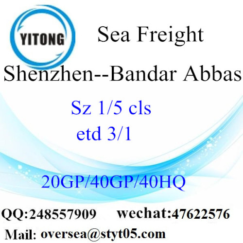 Shenzhen Port Sea Freight Shipping To Bandar Abbas