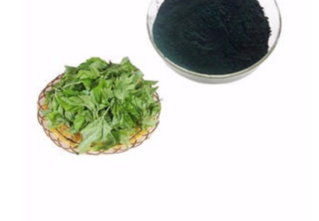 Organic Bulk Chlorophyll Liquid Chlorophyll Powder