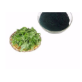 /msite/products/detail/productid/60198730/id/1001323.html