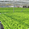 Hydroponic PVC-pijp van voedingskwaliteit