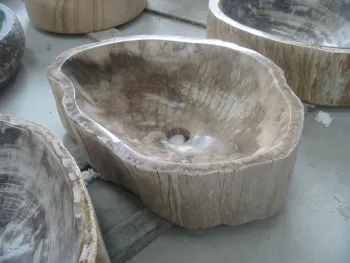 Fossil Wood Sink