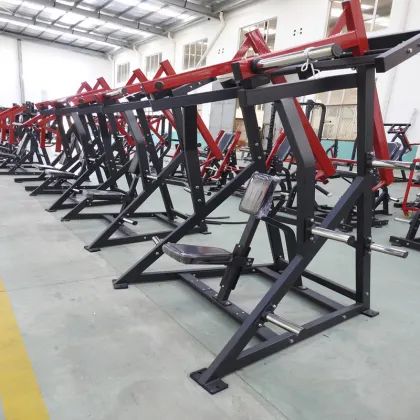 Shoulder Press Gym Equipment