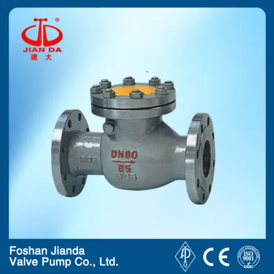 ammonia swing check valve ansi 150lb flange type