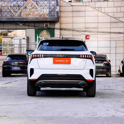5-seater gasoline SUV LYNK&CO 06