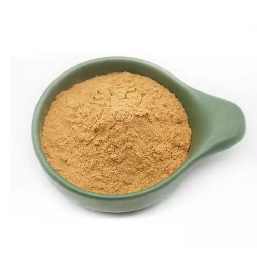 Best herbal Medicine Fenugreek Seed Extract in stock